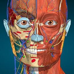 Anatomy Learning 3D: Todo desbloqueado