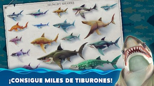 Hungry Shark World: dinero ilimitado