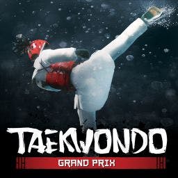 Taekwondo Grand Prix: dinero ilimitado